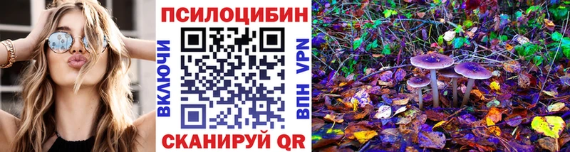 Купить закладки  Стрежевой  Псилоцибиновые грибы Psilocybine cubensis 